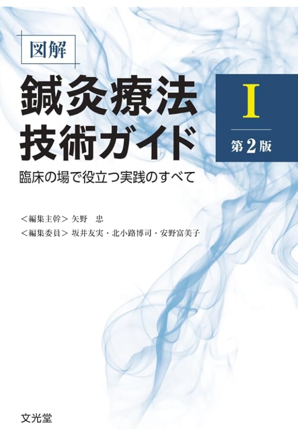 図解鍼灸療法技術ガイドII 第2版 臨床の場で役立つ実践のすべて | 矢野