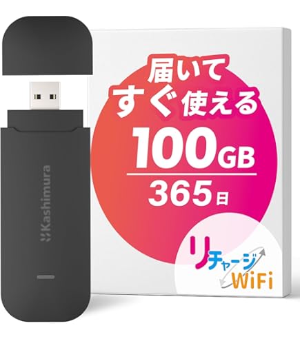 Amazon.co.jp: 【3/1販売開始】ecoco 1年間 100ギガ 付 USB型