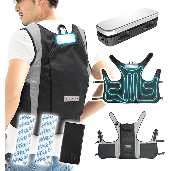 大特価　SIペルチェベストセット　Mサイズ Amazon.co.jp: [リンクサス] SI ペルチェベストセット Mサイズ
