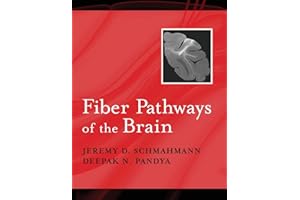 Fiber Pathways of the Brain