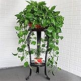 gannbarou フラワースタンド 花台 アイアン 観葉植物 園芸 ガーデニングラック 装飾用 (ブラック)