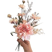 61kGV3h-dDL._AC_UL210_SR210,