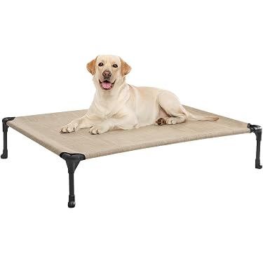 Amazon.co.jp 最新リリース: 犬用ベッド・クッション の新着ランキング