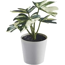 Amazon.co.jp: IKEA イケア 人工観葉植物 鉢カバー付き 室内 屋外用