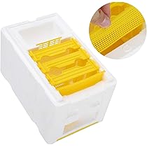 Amazon.co.jp: 脱出防止ミツバチの巣箱、ミツバチの交尾、9.4x5