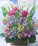 アレンジメントフラワー 生花 ギフト 5Lサイズ イメージ(MIX)大臣賞受賞デザイナー おまかせアレンジメント