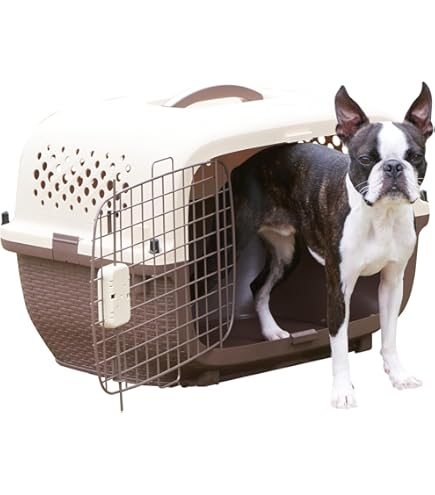 ペットロッジ (Pet Lodge) DDクレート M Amazon | ペットロッジ (Pet Lodge) DDクレート M | ペットロッジ (Pet
