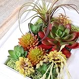 A plus floral art インテリアグリーン アンティーク フレーム カントリー