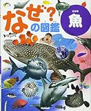 魚