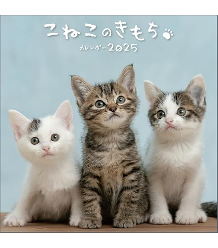 Amazon | 日めくりニャンコ！2025年(卓上日めくりカレンダー猫版) 本体