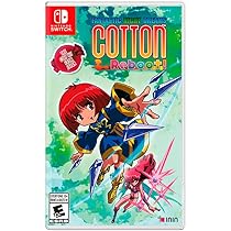 Nintendo Switch RAIDEN 30th Anniversary Nintendo Switch Amazon.com: Raiden 30th Anniversary - Nintendo Switch