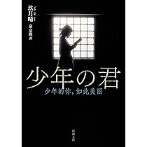 少年の君 Blu-ray 少年の君Blu-ray、青春感動作、ノミネート受賞