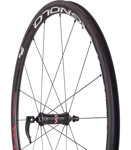 Amazon | BORA ONE 50 WO F/R UD ホイール前後セット カンパボディ