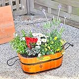 花由 花色とプランターが選べる寄せ植え 季節のおまかせカントリーガーデン 楕円のニス仕上げ 5日後以降で指定