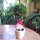 パラボッセオリジナル プリザーブドフラワー トピアリー まる Lサイズ 母の日バージョン 横幅12cmx12cmx高さ18cm preserved flowers