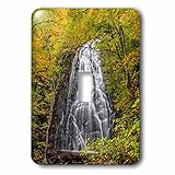 Danita Delimont – 秋 – USA、ノースカロライナ州、Blue Ridge Parkway。風景のCrabtree Falls – 照明スイッチカバー – シングルトグルスイッチ( 