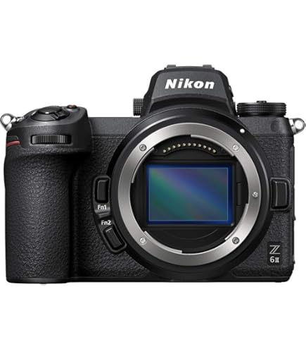 Nikon D7200 (Body Only) : Amazon.sg: Electronics