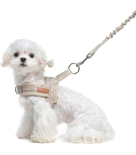 Amazon | エッセンシャルハーネス【HOZI】ドッグハーネス 犬 ペット