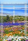 人生一度の素晴らしい旅
