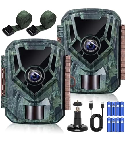 Amazon.co.jp: サンワサプライ 防犯カメラSANWA SUPPLY CMS-SC01GY