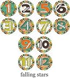 FALL STARS Baby Month Onesie Stickers Baby Shower Gift Photo Shower Stickers, baby shower gift by On