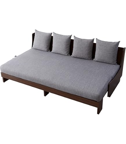 Amazon | フランスベッド ソファーベッドシリーズ（MOVEin'terior