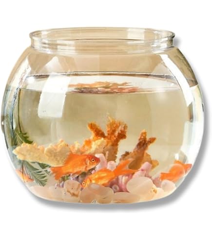 Amazon.co.jp: ピータン壺 メダカ鉢 金魚鉢 龍柄 大型焼き物 : ペット用品