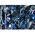 ONENESS M(初回限定盤)