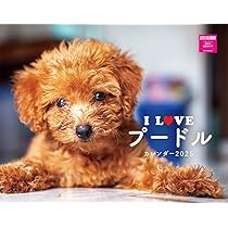 アンティーク　プードルの日めくりカレンダー アンティーク プードルの日めくりカレンダー カレンダー アンティーク