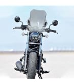 Amazon | デイトナ(Daytona) レブル1100/DCT(21-23)専用 スクリーン