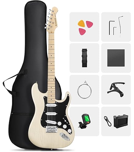 Amazon | SELDER セルダー エレキギター ストラトキャスタータイプ