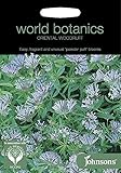 WB 英国ジョンソンズシード world botanics collection ORIENTAL WOODRUFF オリエンタル ウッドラフ