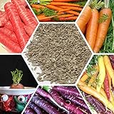 果物と野菜キャロットシード大根種子の品質は、家庭紫ニンジン種子200 SEEDSを鉢植え