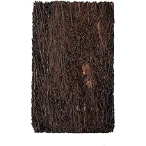 ヘゴ板 Amazon | ヘゴ板 1枚 30×18×3cm | 植木