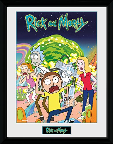 Rick And Morty Picture 16 x 12 / リック アンド モーティ ピクチャー 16 x 12
