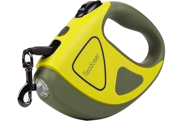 best dog leash amazon