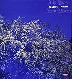 桜の夢