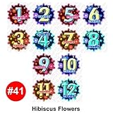 Baby Month By Month Stickers - HIBISCUS Baby Month Onesie Stickers Baby Shower Gift Photo Shower Sti