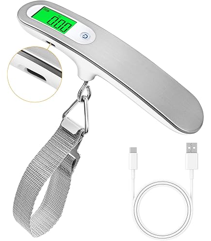 Bilancia Digitale Tascabile Silverline - Portata 50 Kg, Compatta E Precisa