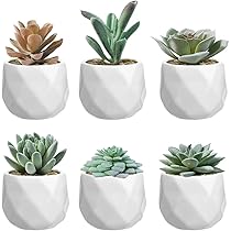 【フェイクグリーン】【インテリアグリーン】【観葉植物】【多肉植物フェイク】 spd0401.jpg