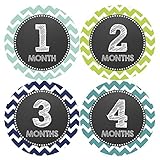 Baby Boy Monthlyベビーマイルストーンステッカー| Onesie月ステッカー(スタイル825 )