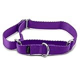 PetSafe プレミアカラー ハーフチョーク Mサイズ 幅1.9cm 小型犬～中型犬用 ディープパープル [並行輸入品]