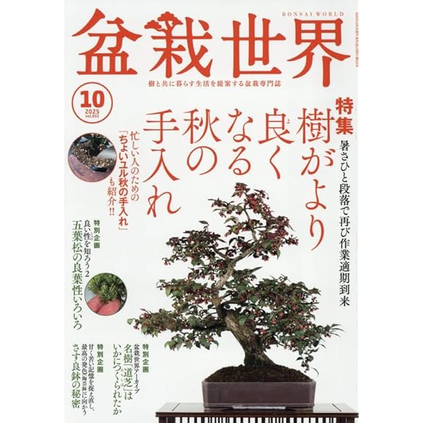 Amazon.co.jp: 盆栽世界 2025年 08 月号 [雑誌] : 本