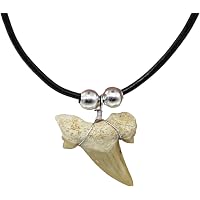 Genuine Bull Shark Teeth Necklace With 