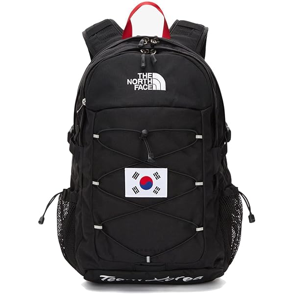 Amazon.co.jp: ノースフェイス バックパック ホットショット