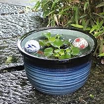 Amazon.co.jp: 信楽焼 10号藍の色水鉢 睡蓮鉢 メダカ鉢 : DIY
