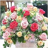 大きいプリザーブドフラワー お祝い 誕生日に華やかで豪華なプレゼント クロスリースタイル