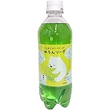 Amazon サントリー Popメロンソーダ 430mlペットボトル 24本入 サントリー 炭酸飲料 通販