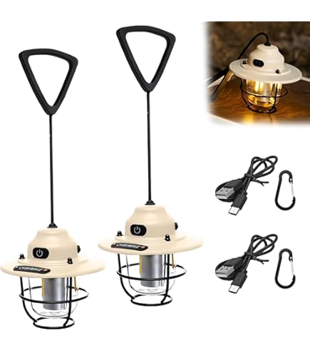 Amazon.co.jp: ベアボーンズ（Barebonesliving） ランタン エジソン