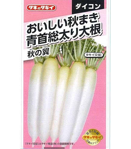 Amazon.co.jp: Seishin Pottery Colorful Mini Daikon Radish Momomaru